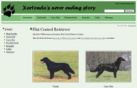 Flat Coated Retriever Züchter, Screenshot